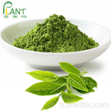 Thé vert Matcha en poudre certifié bio